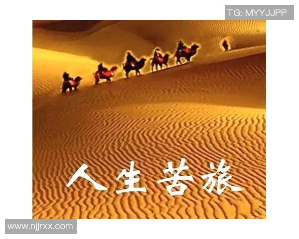 景菡一的成长之路：从梦想起航到人生巅峰的精彩旅程