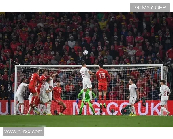 法国与威尔士精彩对决录像回放分析与精彩瞬间集锦 法国与威尔士精彩对决录像回放分析与精彩瞬间集锦