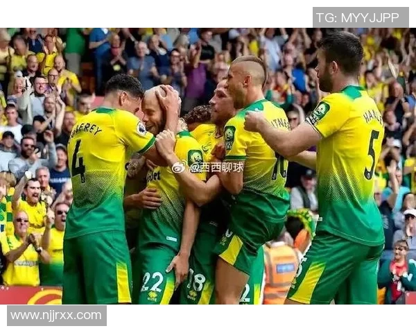 诺维奇对赫尔城比赛结果分析及精彩瞬间回顾